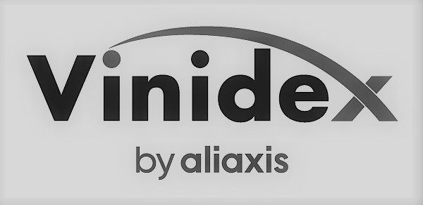 Vinidex by Aliaxis BEST 2019 logo